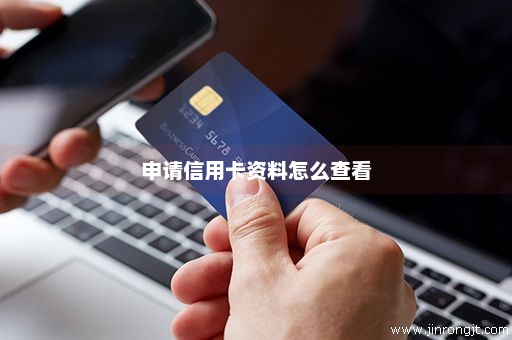 申请信用卡资料怎么查看