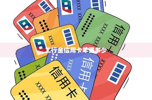 工行金信用卡年费多少