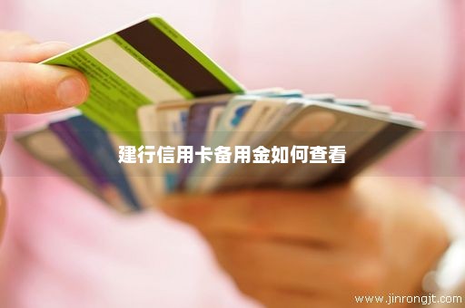 建行信用卡备用金如何查看