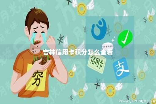 吉林信用卡积分怎么查看